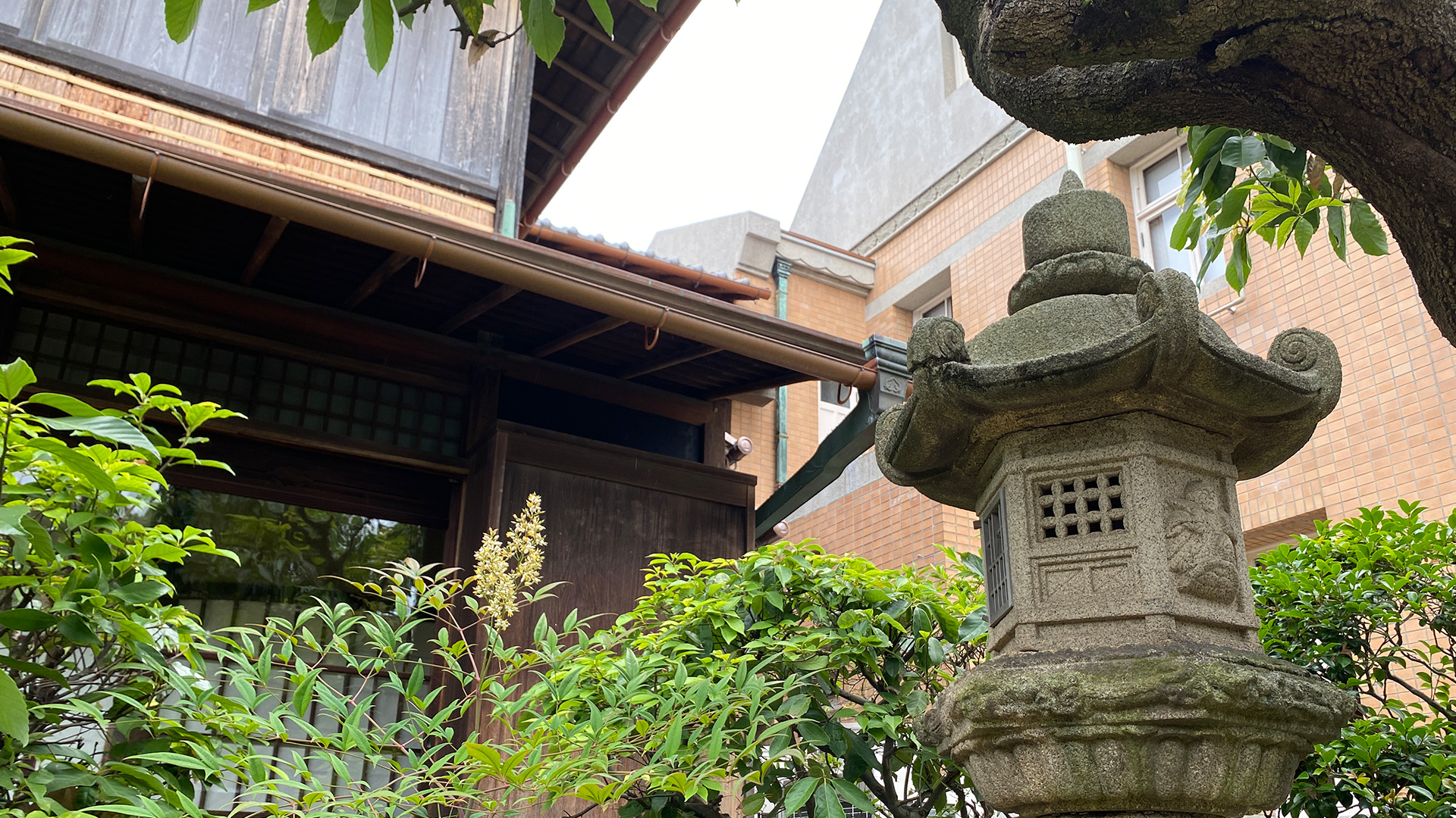 館内ガイド : 田尻歴史館 : 茶室 / 庭園